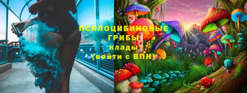 где купить наркоту  Большой Камень  Псилоцибиновые грибы MAGIC MUSHROOMS 